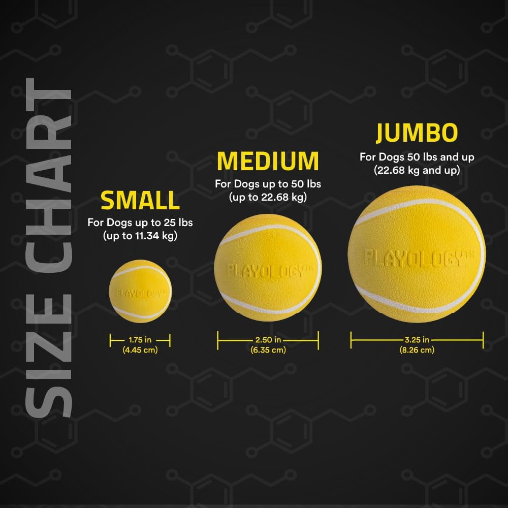 Dog Toys | Squeaky Chew Ball - Bouncy Durable Floating Fetch Ball for Dogs | Medium Chicken Scented Toy - Easy to Clean and Made from Non Toxic Materials