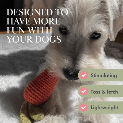 Organic Cotton Dog Toys Pack – Handmade Squeaky Plush Puppy Toys for Small and Medium Dogs, Eco Friendly Teething Accessories, Natural Pet Gift Set with Cute Fruit and Veggie Designs