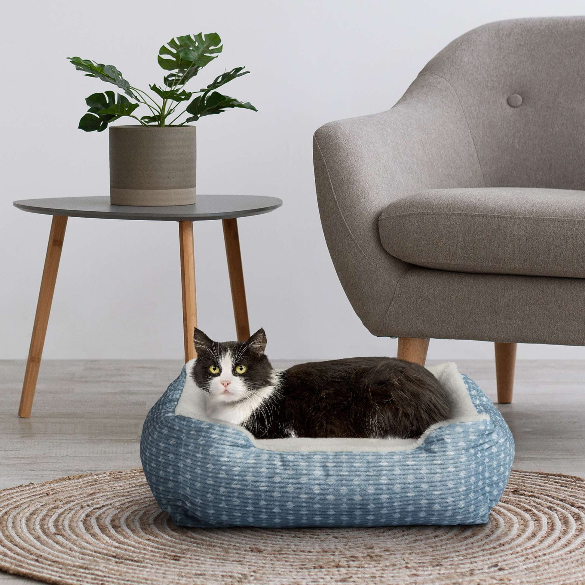 Dog & Cat Bed, Plush Cuddler, Portable, Blue & White, 19" × 15"