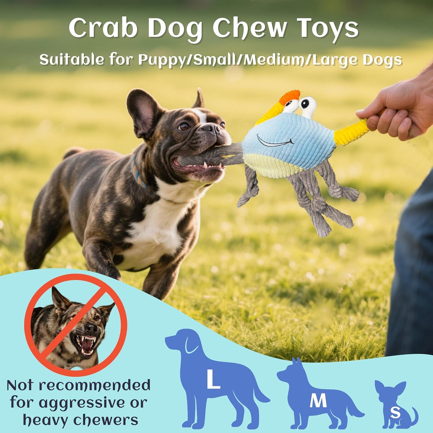 Dog Toys for Aggressive Chewers – 3-In-1 Squeaky Interactive Chew Toy with Spiky Ball for Small, Medium & Large Dog, Pet Plush Toys（Bouncing Ball Not Included）