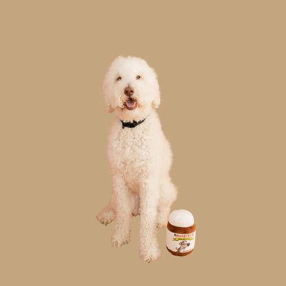 Funny Neuterella Dog Toy with Squeaker and Crinkle Sound – Parody Plush Squeaky Dog Toy for Small, Medium and Large Dogs – Hilarious Neutering-Themed Gift for Dogs and Dog Lovers – Unique Pet Toy