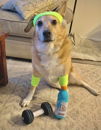 Fitness Funny Dog Toys - Doggyade and Doggy Dumbbell Workout Parody Cute Dog Toys - 2 Pack (Workout Pack)