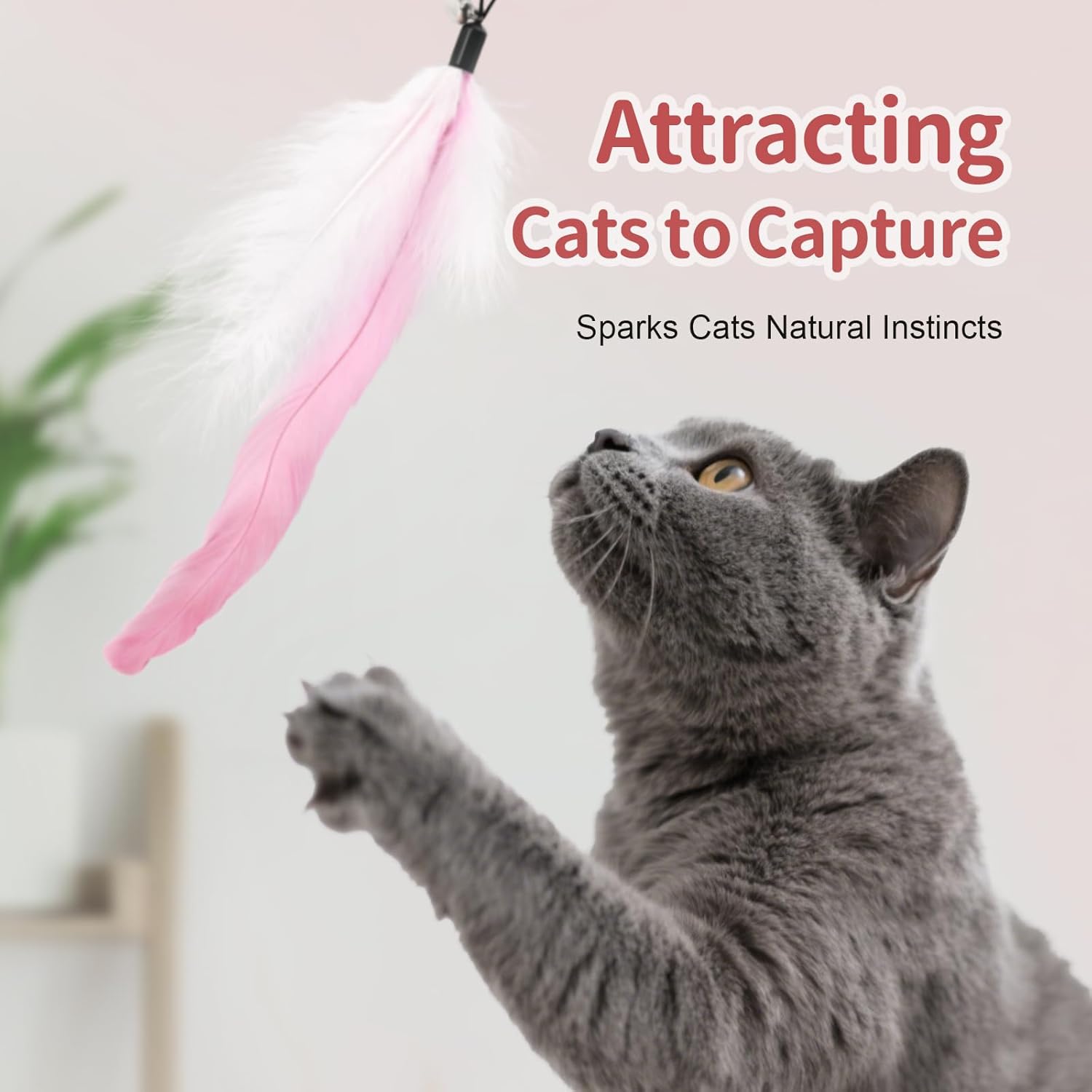 Perfectly Pink Cat Wand Toys for Indoor Cats - Cat Toy Set with Retractable Teaser Wand and 6 PCS Fairy Feather Toy Refills, Dragonfly Tassel Plush Cat Toys Interactive, Pink