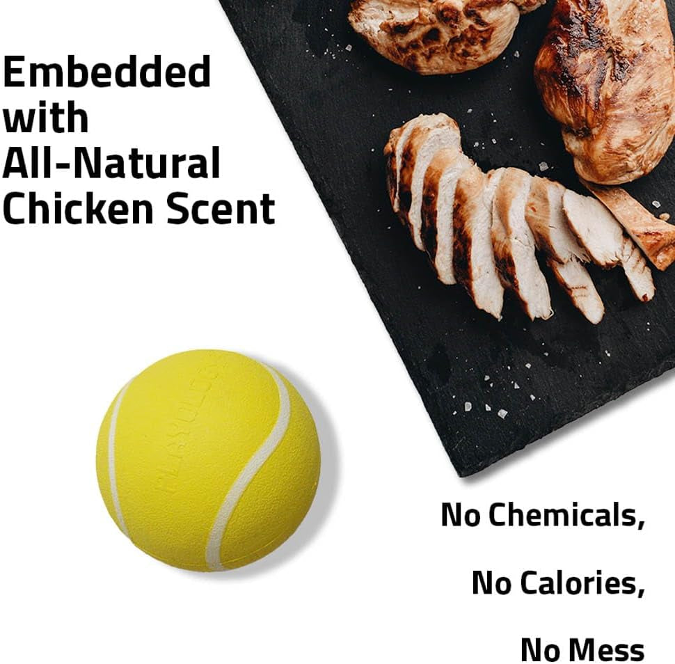 Dog Toys | Squeaky Chew Ball - Bouncy Durable Floating Fetch Ball for Dogs | Medium Chicken Scented Toy - Easy to Clean and Made from Non Toxic Materials