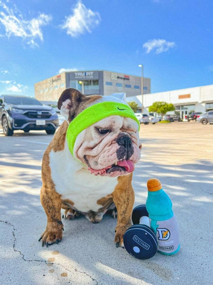 Fitness Funny Dog Toys - Doggyade and Doggy Dumbbell Workout Parody Cute Dog Toys - 2 Pack (Workout Pack)