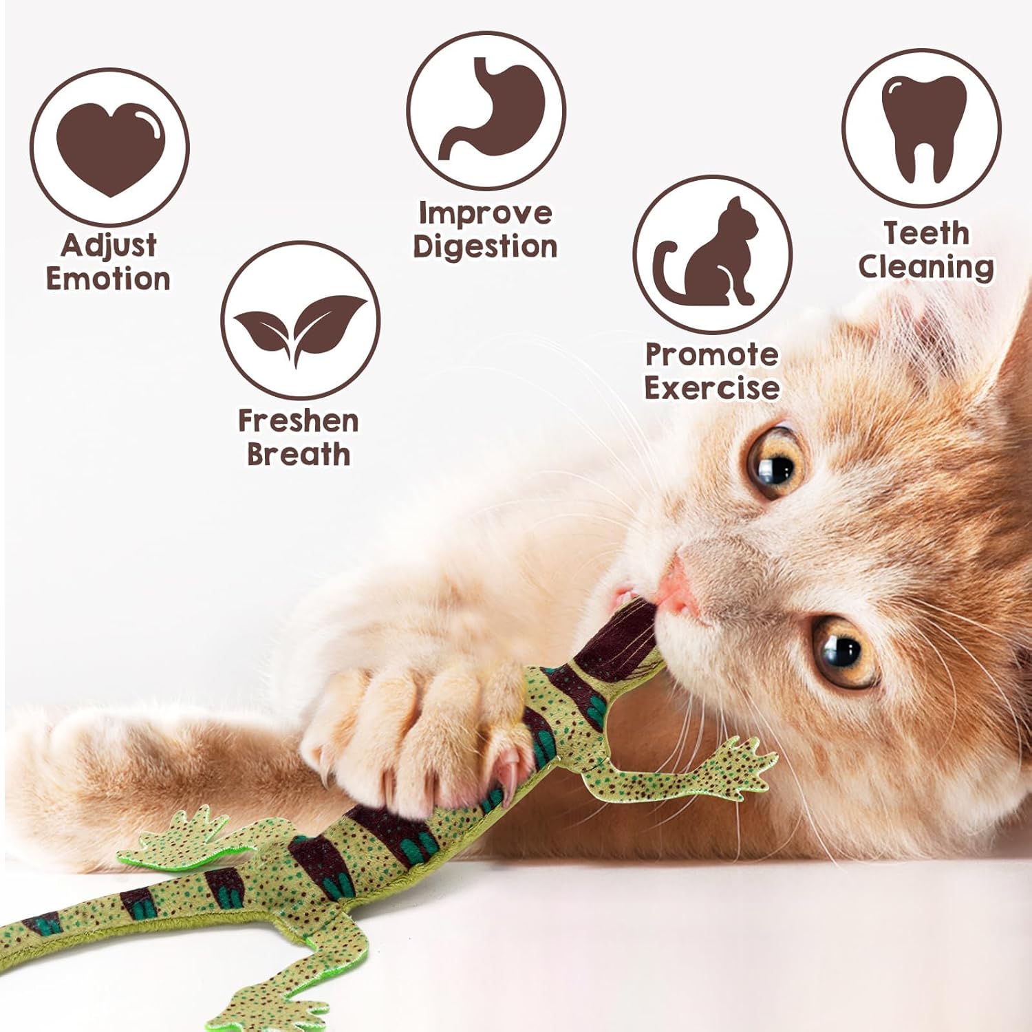 4 Pack Lizard Catnip Toys Chew Bite Resistant Toys for Indoor Cats Boredom Relief Teeth Cleaning Interactive Funny Cute Kitten Cat Lover Gifts