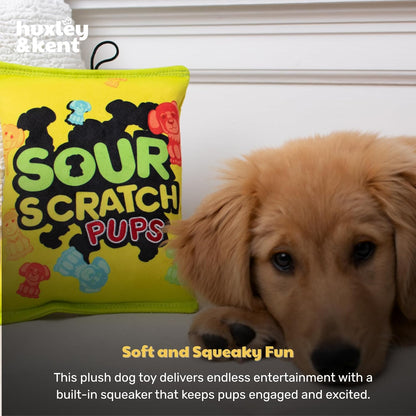 Funny Dog Toy W/Squeaker – Power Plush Squeaky Dog Toys for Small, Medium & Large Dogs – Soft Stuffed Animal for Indoor Play & Fetch - Sour Scratch, Large