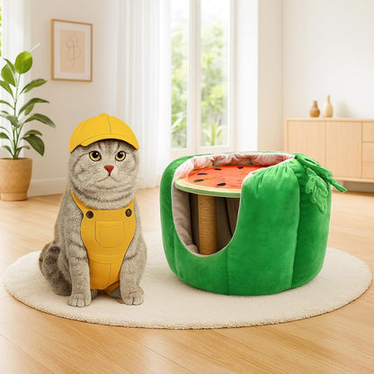 Adorable Watermelon Cat House , Small Cat Tree with Sisal Ropes and Plush Perch, Cute Cat Bed Cave with Soft Pillow, Watermelon Design