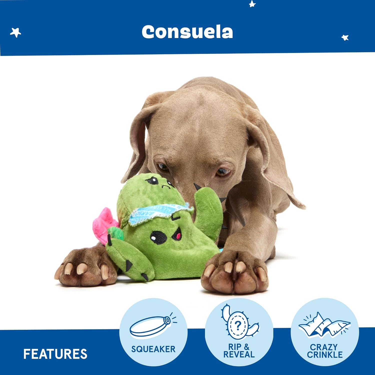 Consuela the Cactus 2-In-1 Interactive Plush Dog Toy - Squeaky Dog Chew Toy with Crinkle Layers - for Large Dogs and Puppies