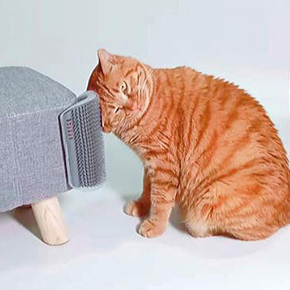 2 Pack Self Grooming Cat Brush - 6.1" Wall Corner Scratcher with Massage Combs for Long and Short Fur Cats, Kittens (Grey)