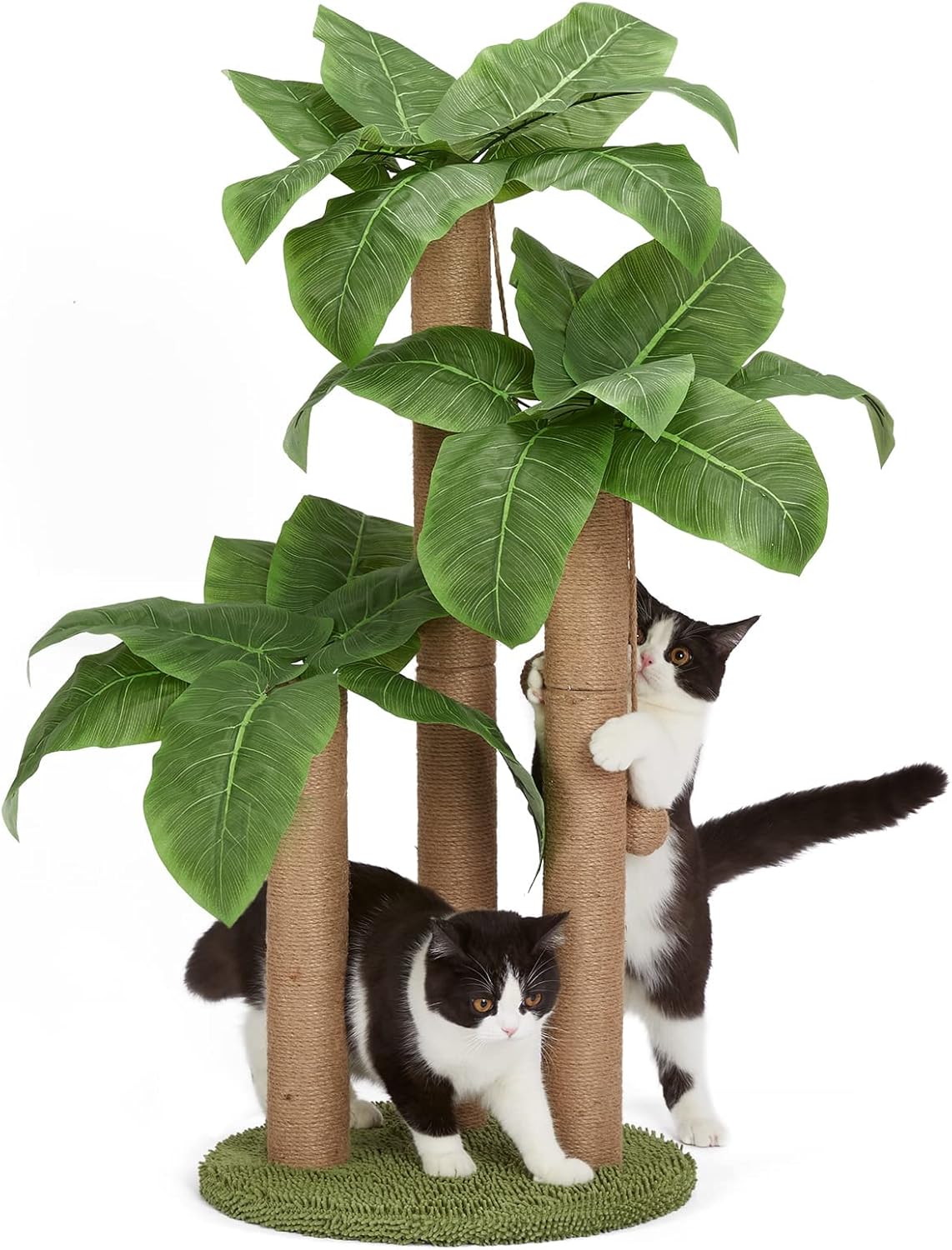 31.5 Inch Palm Tree Cat Scratching Post, Cat Scratcher Tree with 3 Scratching Poles & 2 Interactive Dangling Balls, Cats Scratching Posts for Indoor Kitten & Adult Cats