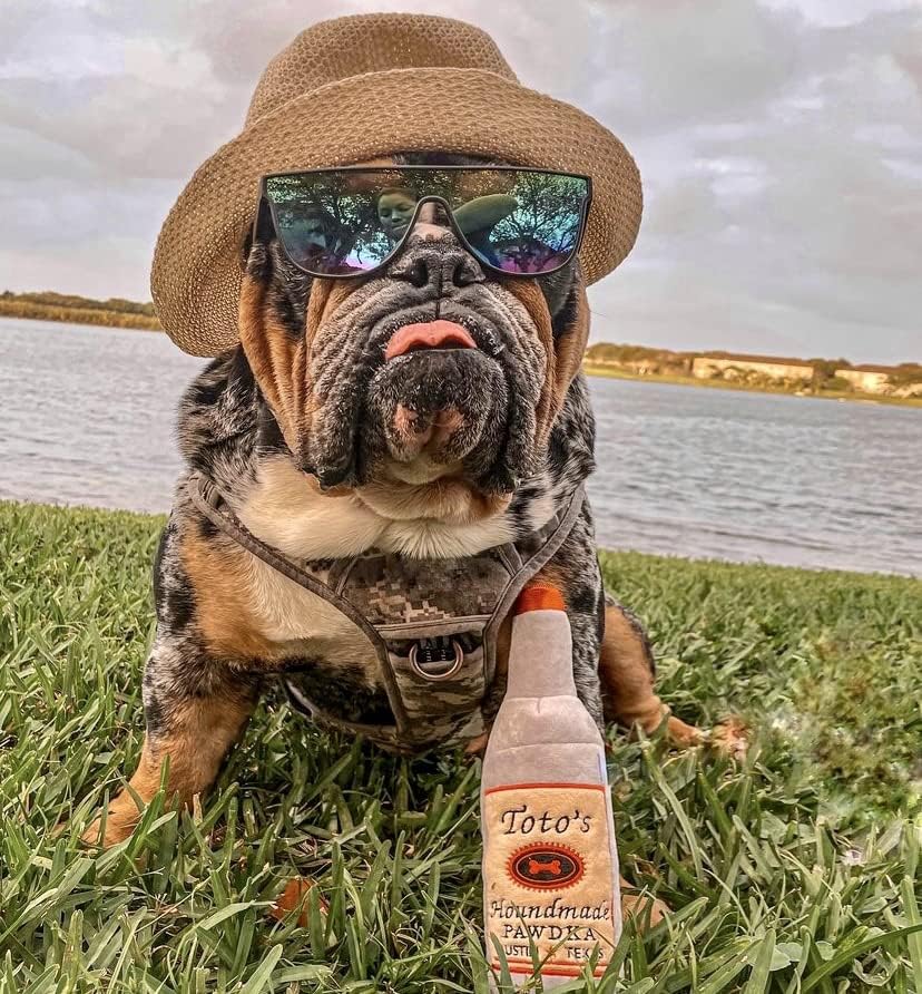 Toto'S Plush Squeaky Crinkle Dog Toy - Funny Dog Gifts for Medium, Small and Large Dogs - Cute Stuffed Toys for Dog Birthdays