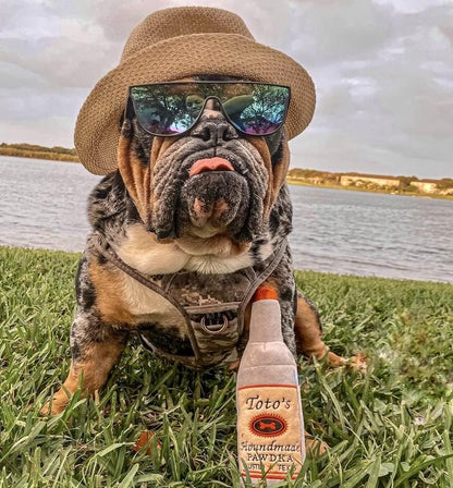 Toto'S Plush Squeaky Crinkle Dog Toy - Funny Dog Gifts for Medium, Small and Large Dogs - Cute Stuffed Toys for Dog Birthdays