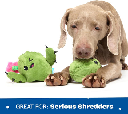 Consuela the Cactus 2-In-1 Interactive Plush Dog Toy - Squeaky Dog Chew Toy with Crinkle Layers - for Large Dogs and Puppies
