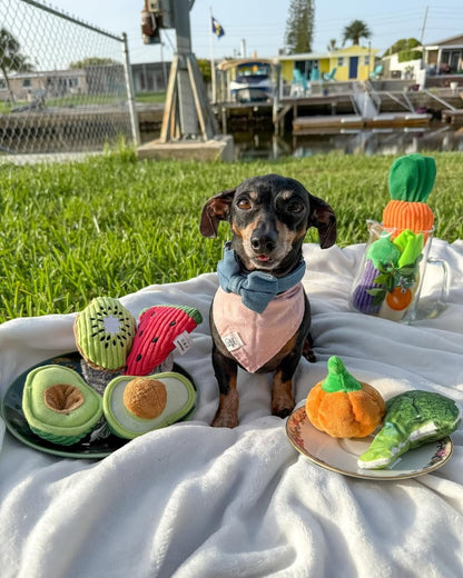 Small Squeaky Crinkle Dog Toys- 15 Packs Grocery Basket Fruits Veggies Puppy Toys to Keep Busy, Cute Durable Plush Stuffed Hide Seek Cognitive Boredom Pet Supplies, Dog Birthday Gifts