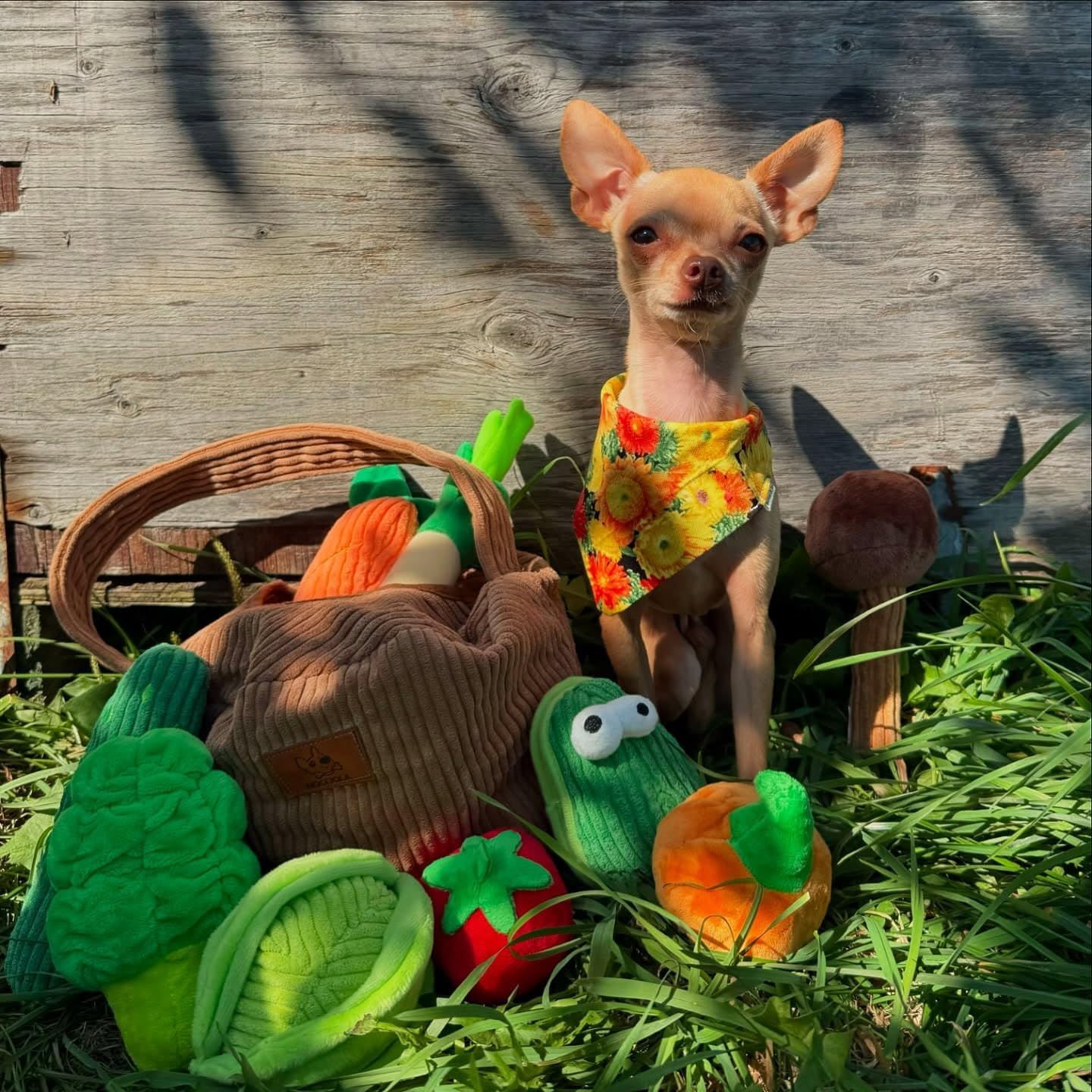 Small Squeaky Crinkle Dog Toys- 15 Packs Grocery Basket Fruits Veggies Puppy Toys to Keep Busy, Cute Durable Plush Stuffed Hide Seek Cognitive Boredom Pet Supplies, Dog Birthday Gifts