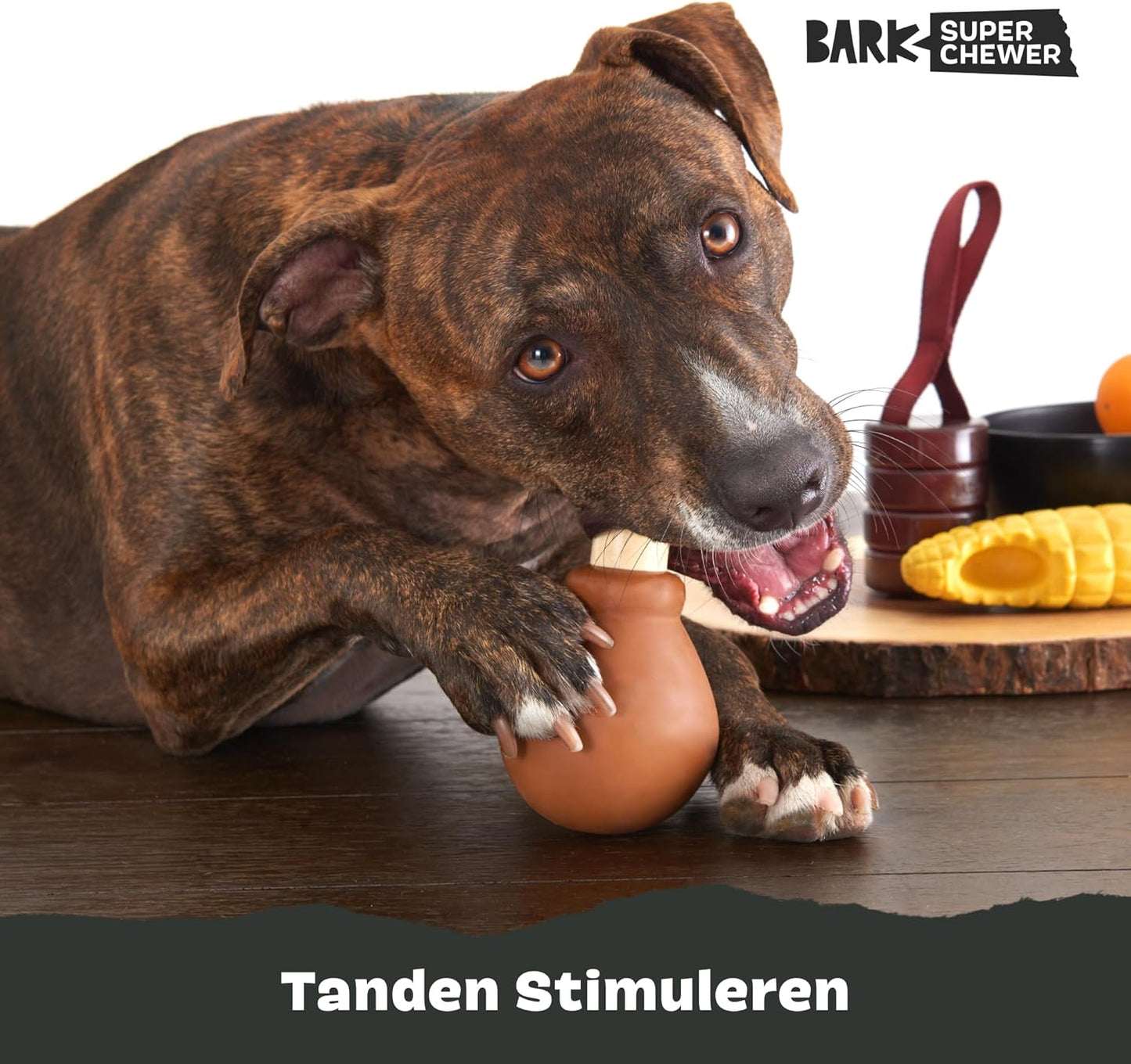 Super Chewer Tough Dog Chew Toys for Aggressive Chewers, Dental Stimulating (Turkey - Large)