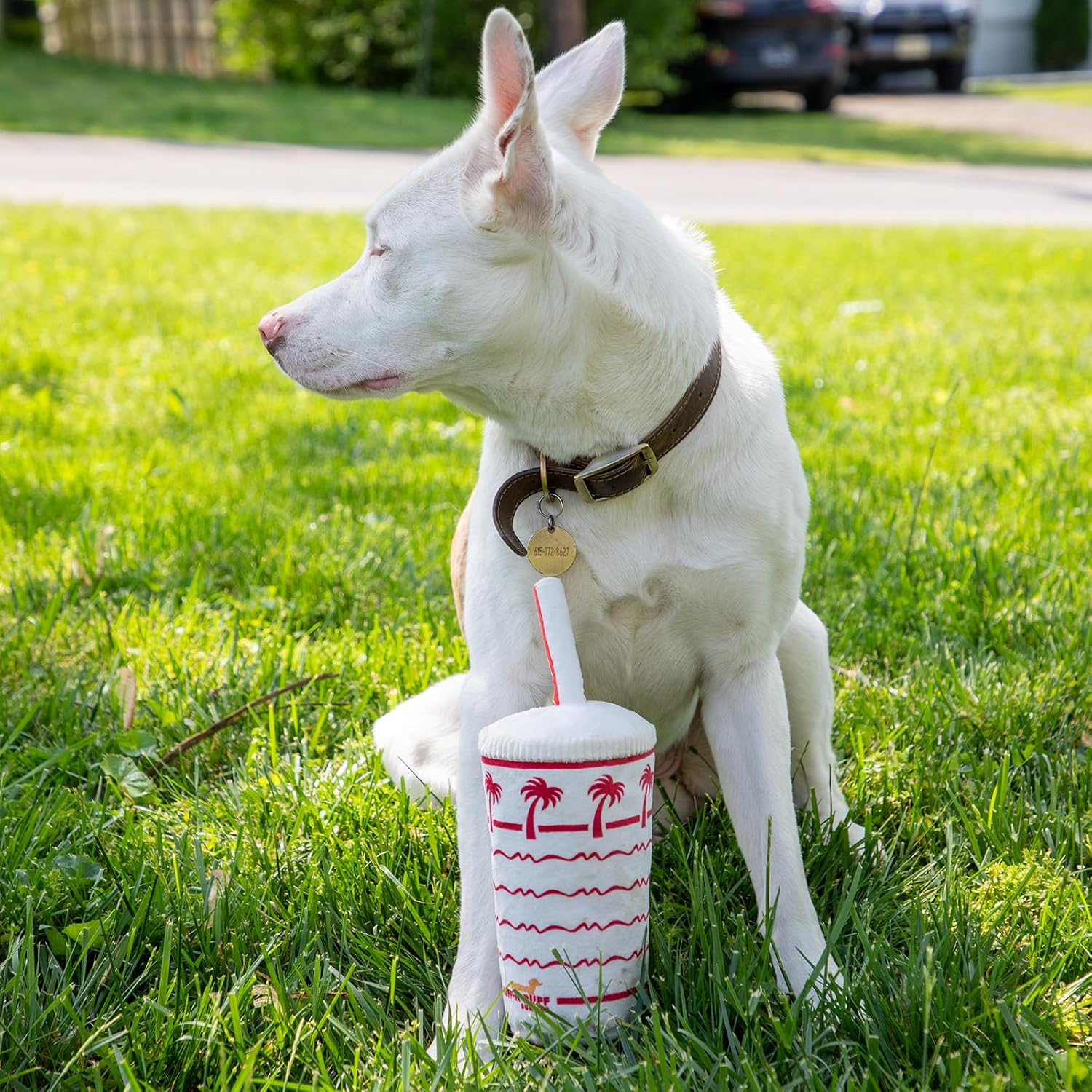 Palm Cup Dog Toy - Parody Plush Squeaky Crinkle Pet Toy - Puppy Toys Dog Birthday