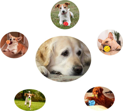 2 Pack Dog Toy Ball - Nontoxic Bite Resistant Teething Toys for Small/Medium/Large Dog and Puppy Cat, Dog Pet Food Treat Feeder Chew Tooth Cleaning Exercise Game IQ Training