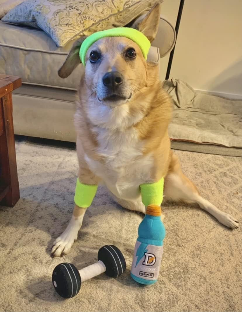 Doggyade - Funny Dog Toys Fitness Workout Parody Cute Dog Toys (Doggyade)