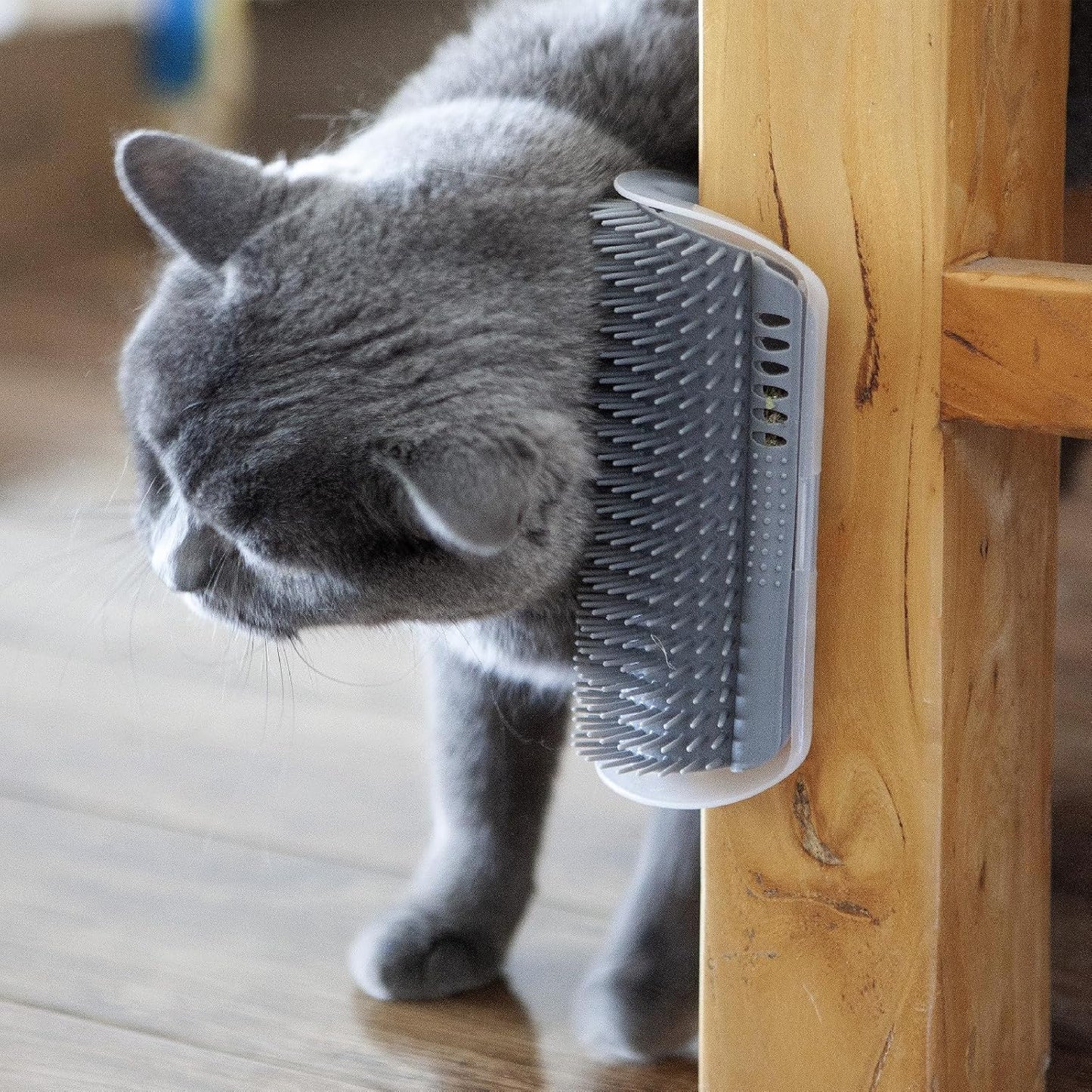 2 Pack Self Grooming Cat Brush - 6.1" Wall Corner Scratcher with Massage Combs for Long and Short Fur Cats, Kittens (Grey)