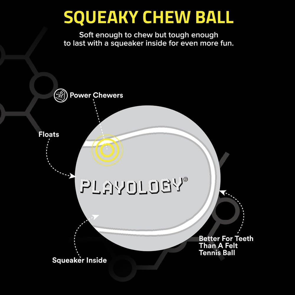 Dog Toys | Squeaky Chew Ball - Bouncy Durable Floating Fetch Ball for Dogs | Medium Chicken Scented Toy - Easy to Clean and Made from Non Toxic Materials