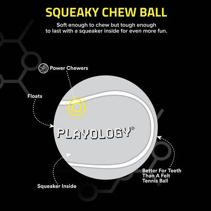 Dog Toys | Squeaky Chew Ball - Bouncy Durable Floating Fetch Ball for Dogs | Medium Chicken Scented Toy - Easy to Clean and Made from Non Toxic Materials