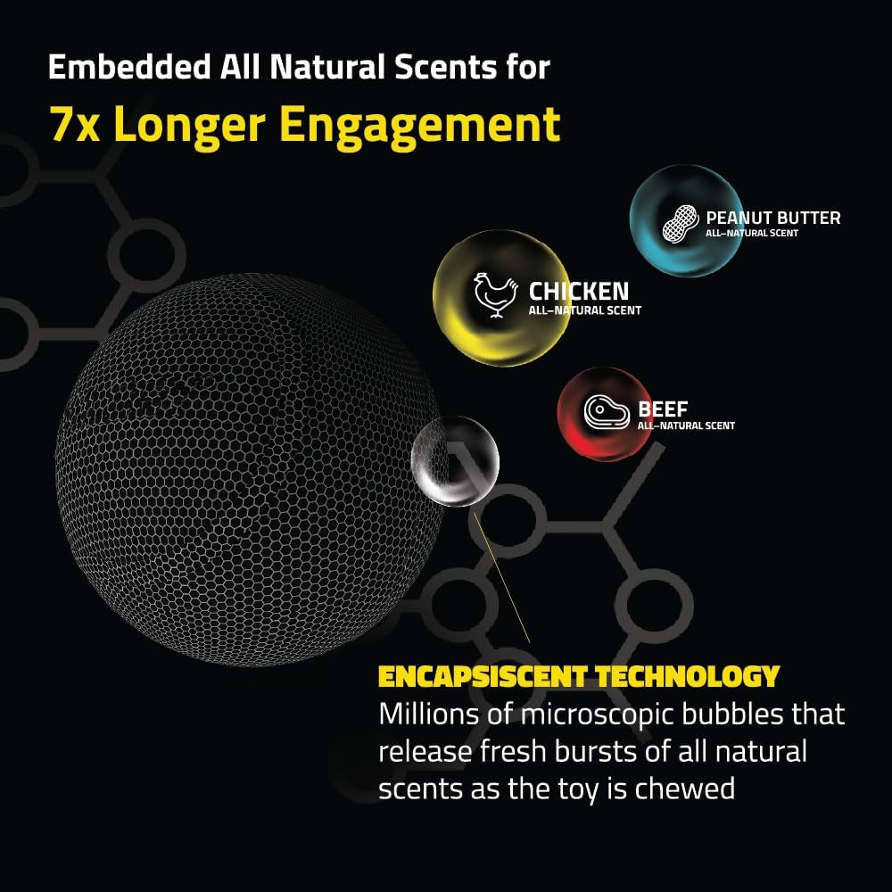 Dog Toys | Squeaky Chew Ball - Bouncy Durable Floating Fetch Ball for Dogs | Medium Chicken Scented Toy - Easy to Clean and Made from Non Toxic Materials