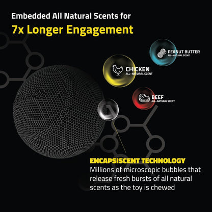 Dog Toys | Squeaky Chew Ball - Bouncy Durable Floating Fetch Ball for Dogs | Medium Chicken Scented Toy - Easy to Clean and Made from Non Toxic Materials