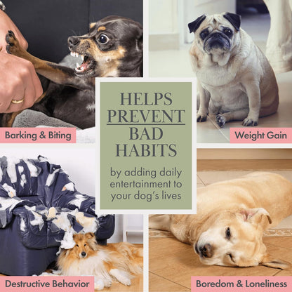 Organic Cotton Dog Toys Pack – Handmade Squeaky Plush Puppy Toys for Small and Medium Dogs, Eco Friendly Teething Accessories, Natural Pet Gift Set with Cute Fruit and Veggie Designs